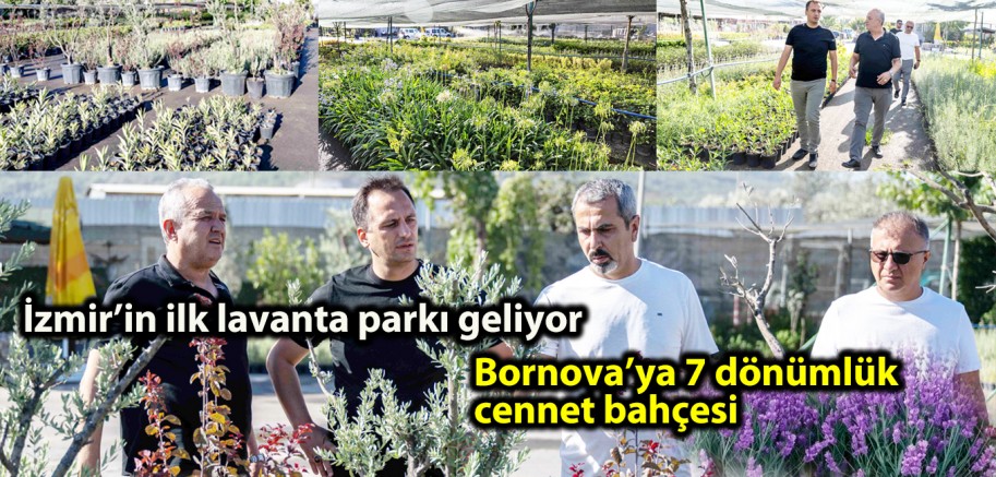 İzmir’in ilk lavanta parkı geliyor