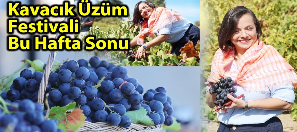 Kavacık Üzüm Festivali Bu Hafta Sonu