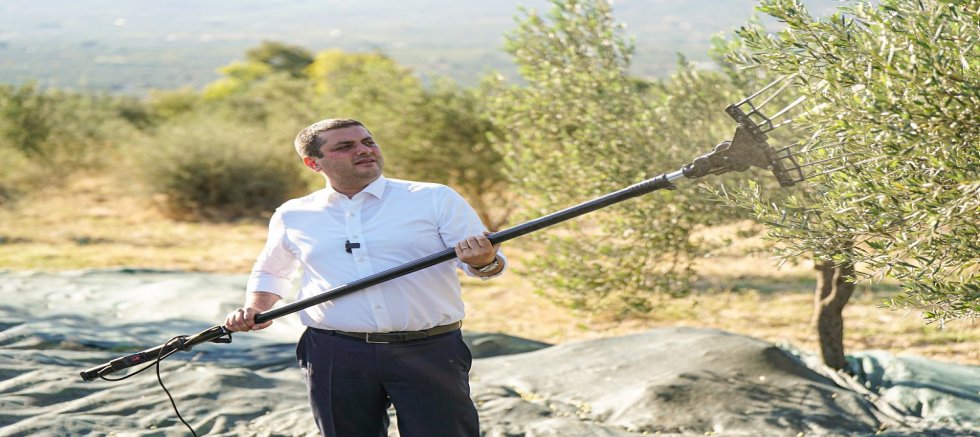 Torbalı’da Zeytin Hasadı Markaya Dönüştü: Metropolis