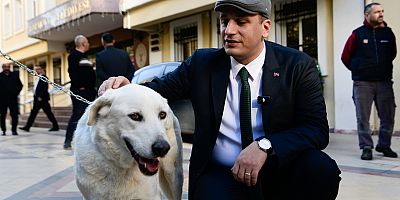 Bornova Belediyesi