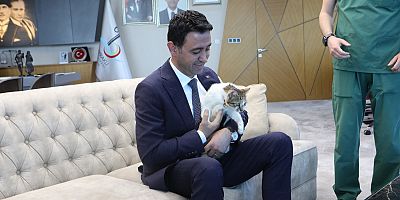 Başkan Önal, yaralı kediye sahip çıktı ‘sahiplenme’ çağrısı yaptı