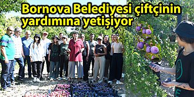 Bornova Belediyesi çiftçinin yardımına yetişiyor