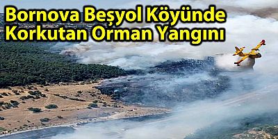 Bornova Beşyol köyünde  korkutan orman yangını