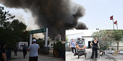 Bornova’daki yangın Veteriner İşleri Müdürlüğüne de sıçradı: 