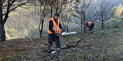 Çiğli Belediyesi Orman Yangınının İzlerini Silmek İçin Seferber Oldu