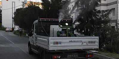 Çiğli’de Sivrisinek ve Haşerelere Karşı Etkin Önlem
