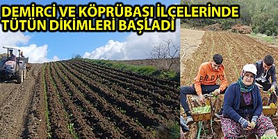 DEMİRCİ VE KÖPRÜBAŞI İLÇELERİNDE  TÜTÜN DİKİMLERİ BAŞLADI