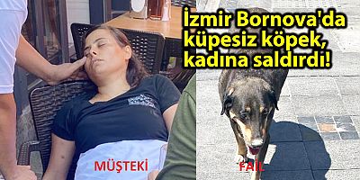 İzmir Bornova'da küpesiz köpek kadına saldırdı! 