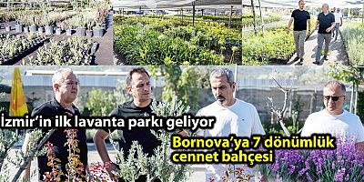 İzmir’in ilk lavanta parkı geliyor