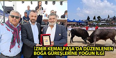 İZMİR KEMALPAŞA’DA DÜZENLENEN BOĞA GÜREŞLERİNE YOĞUN İLGİ