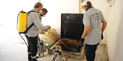 Karşıyaka’da haşereyle kararlı mücadele