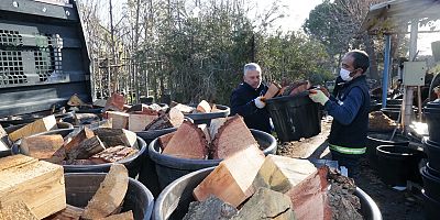 Konak’ta kış dayanışması: Budanan ağaçlar yuvaları ısıtıyor