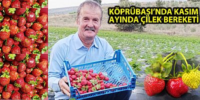 KÖPRÜBAŞI’NDA KASIM AYINDA ÇİLEK BEREKETİ
