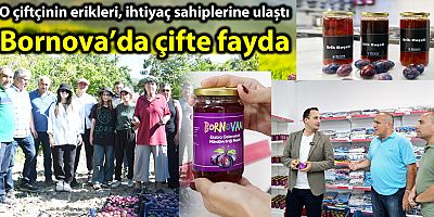 O çiftçinin erikleri