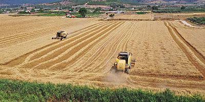 Torbalı Belediyesi buğday hasadını tamamladı