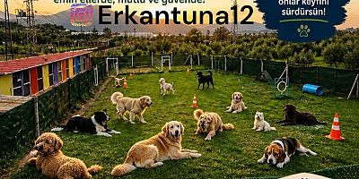 TUNA Bloodline Köpek Oteli Hizmete Açıldı