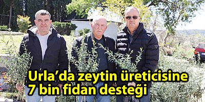 Urla’da zeytin üreticisine 7 bin fidan desteği